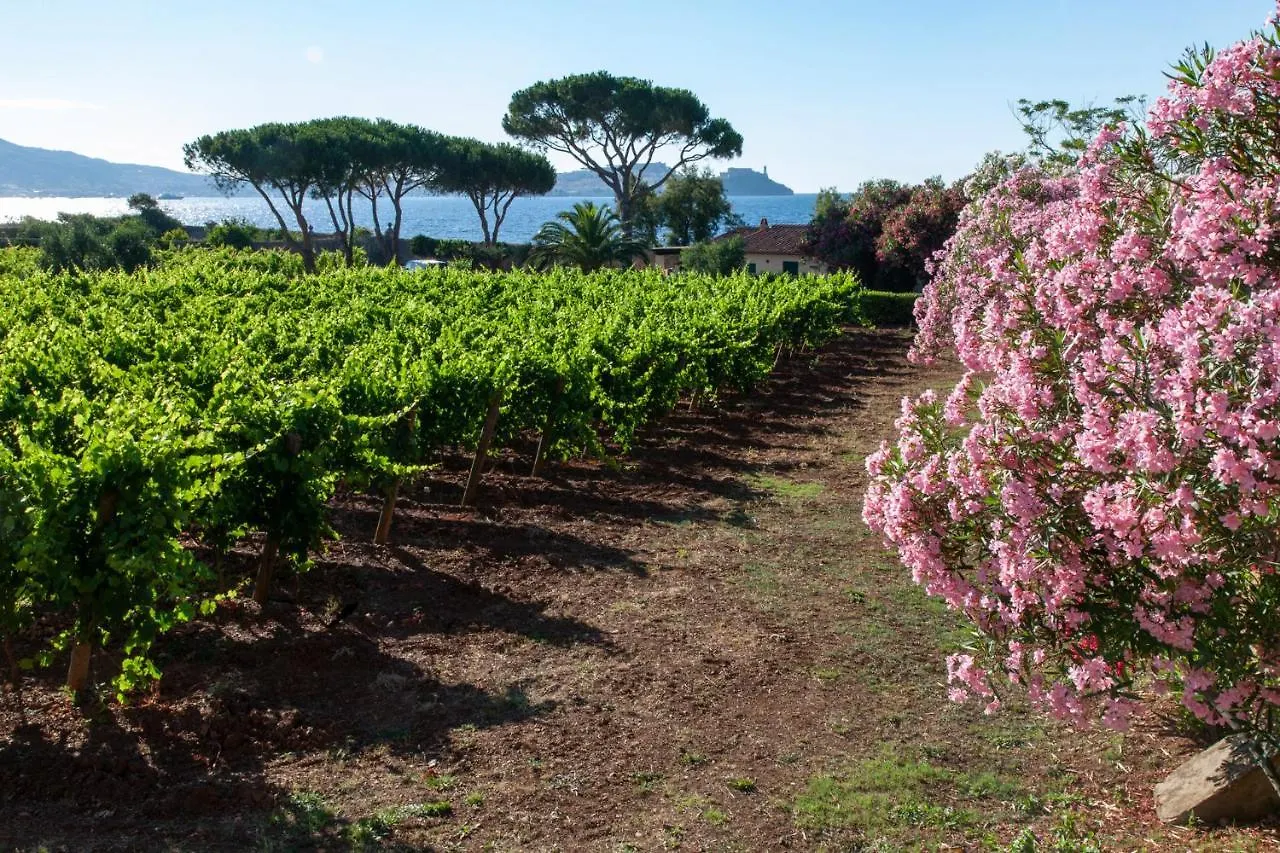 Tenuta La Chiusa Portoferraio Farm stay
