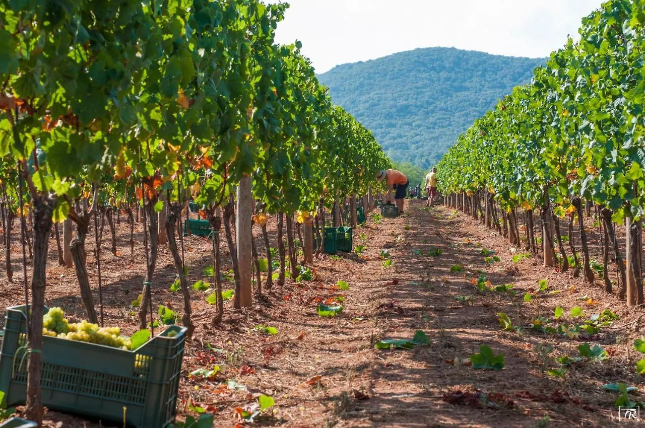 Tenuta La Chiusa Portoferraio